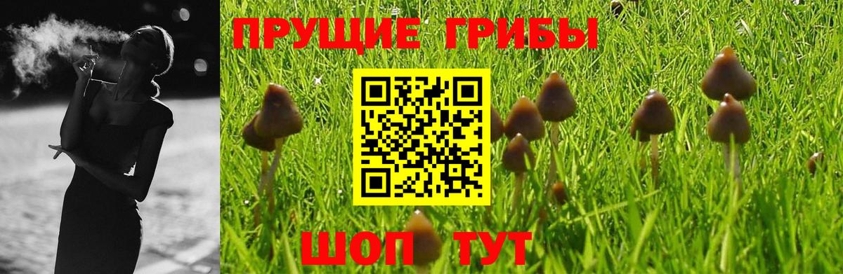Галлюциногенные грибы мухоморы  Вход с VPN  Павлово 