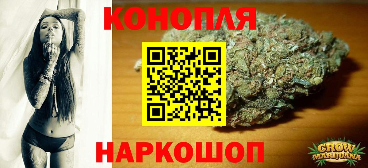 Каннабис планчик Павлово